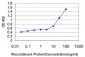 CXCL16 Antibody (monoclonal) (M05)